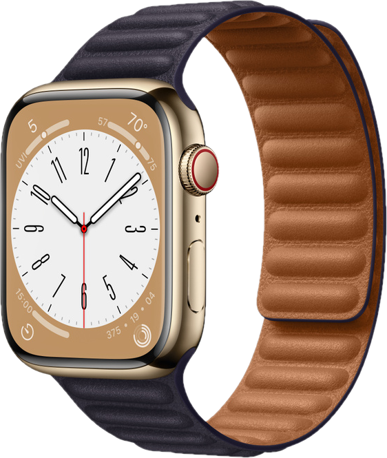 Apple Watch Series 8 Stainless Steel