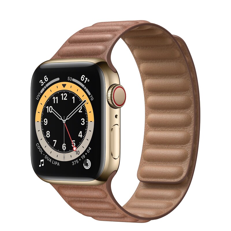 Apple Watch Series 6 GPS + Cellular, 40mm Gold Stainless Steel with Leather Link