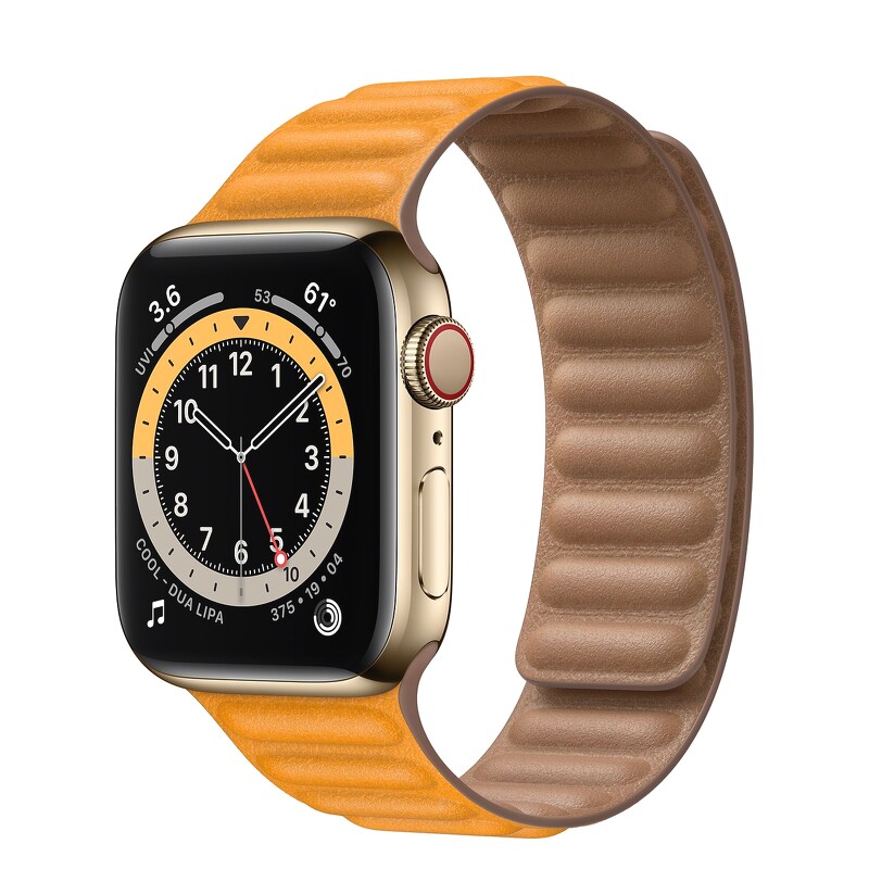 Apple Watch Series 6 GPS + Cellular, 40mm Gold Stainless Steel with Leather Link