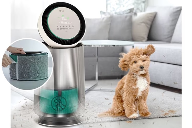 Máy lọc không khí LG PuriCare 360 Alpha Double AS10GDBY0.ABAE 72W - Bộ lọc