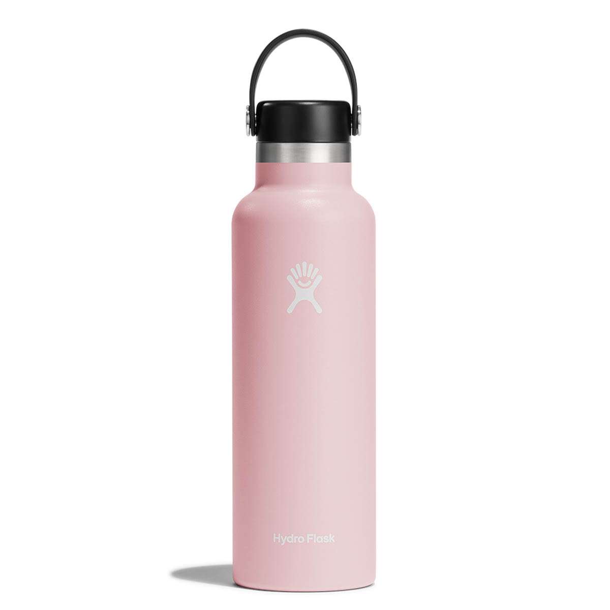 Bình nước giữ nhiệt Hydro Flask Standard Flex Cap 21 OZ  (Season 2024)