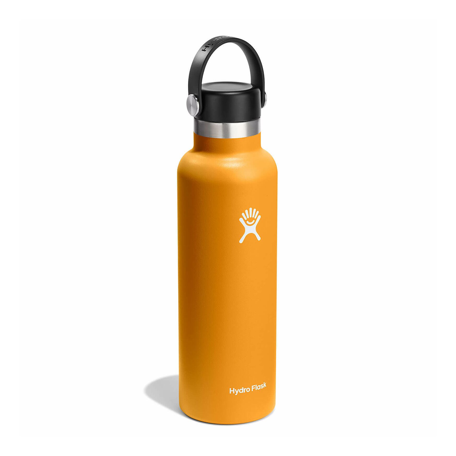 Bình nước giữ nhiệt Hydro Flask Standard Flex Cap 21 OZ  (Season 2024)