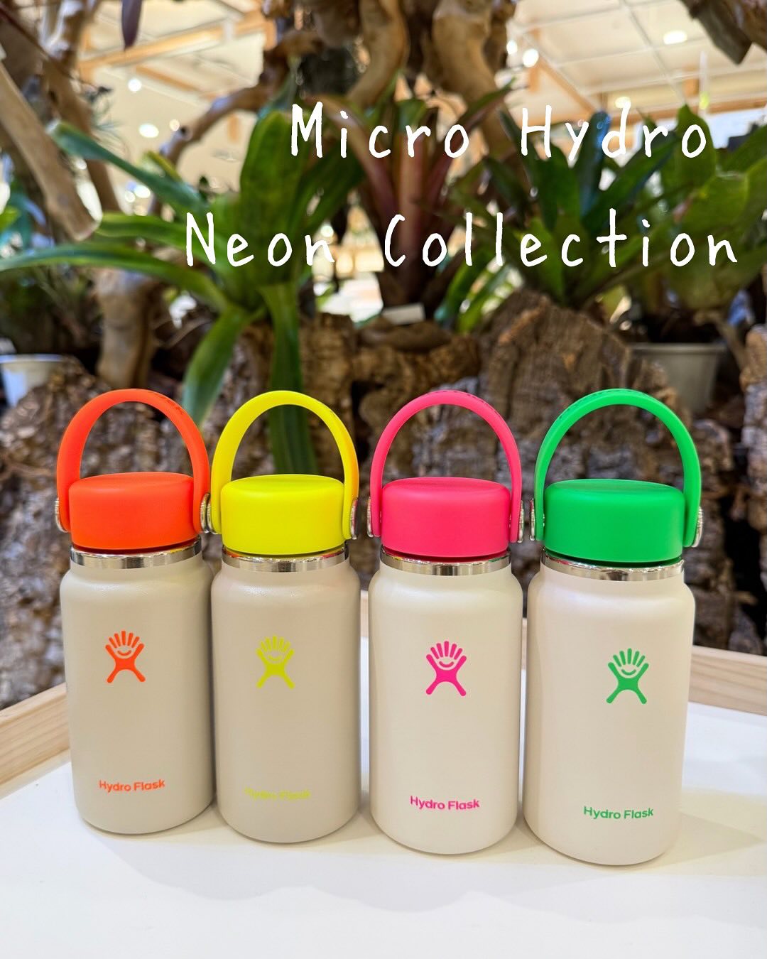 Bình giữ nhiệt Hydro Flask Micro Wide Flex Cap 6.7 Oz (200 ml) Neutral + Neon | Limited Edition