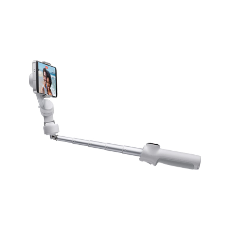 Insta360 Flow 2 Standard Bundle