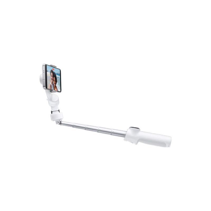 Insta360 Flow 2 Standard Bundle