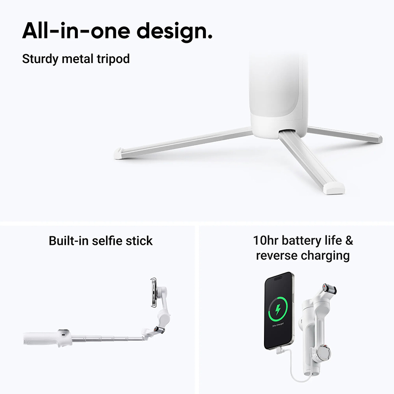 Insta360 Flow 2 Standard Bundle