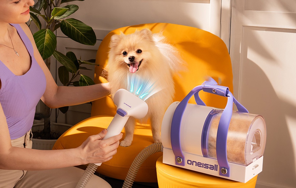 Máy chải, hút và sấy lông thú cưng Oneisall BM5