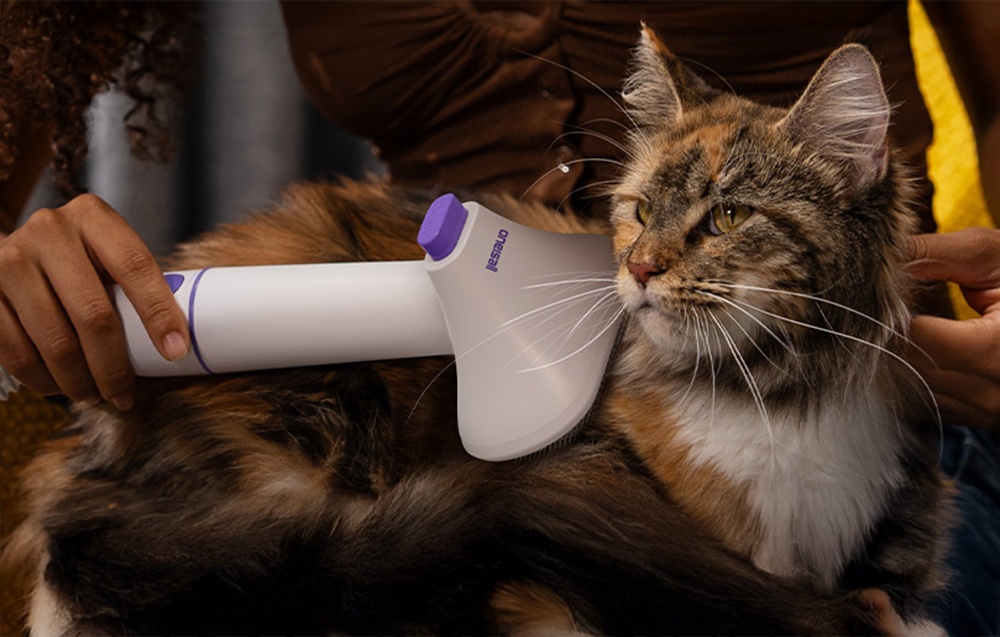 Máy chải, hút và sấy lông thú cưng Oneisall BM5