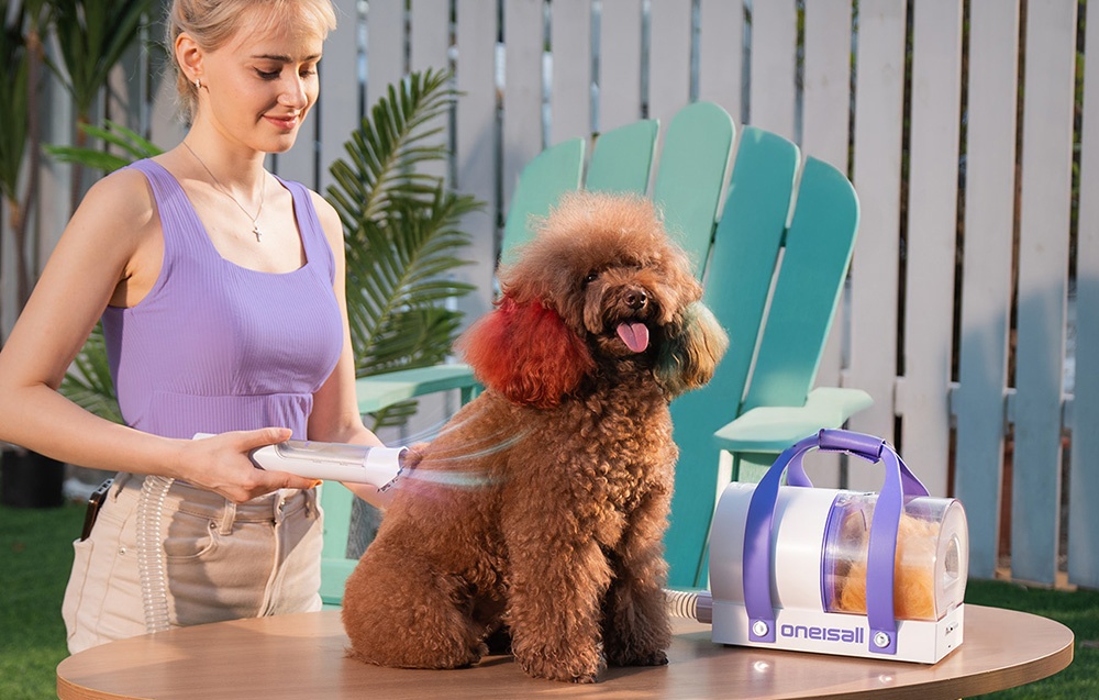 Máy chải, hút và sấy lông thú cưng Oneisall BM5