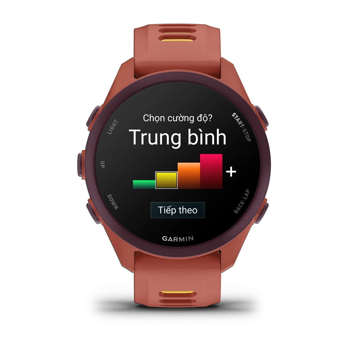 Garmin Forerunner 170 Music