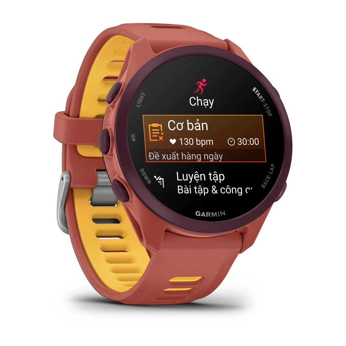 Garmin Forerunner 170 Music