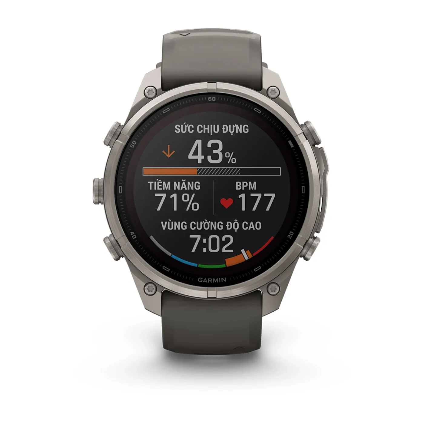 Garmin Fenix 9 Pro - Solar, Titanium, 47mm (Pebble Gray/Silver Gray Silicone Band)