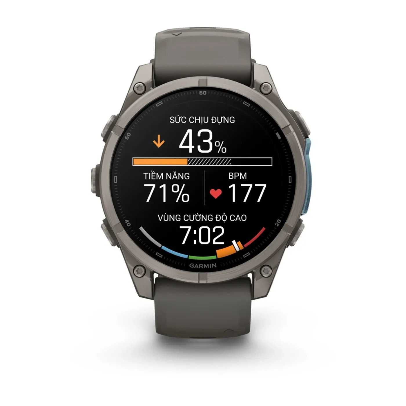 Garmin Fenix 9 – 47mm, Titanium (Pebble Gray Silicone Band)