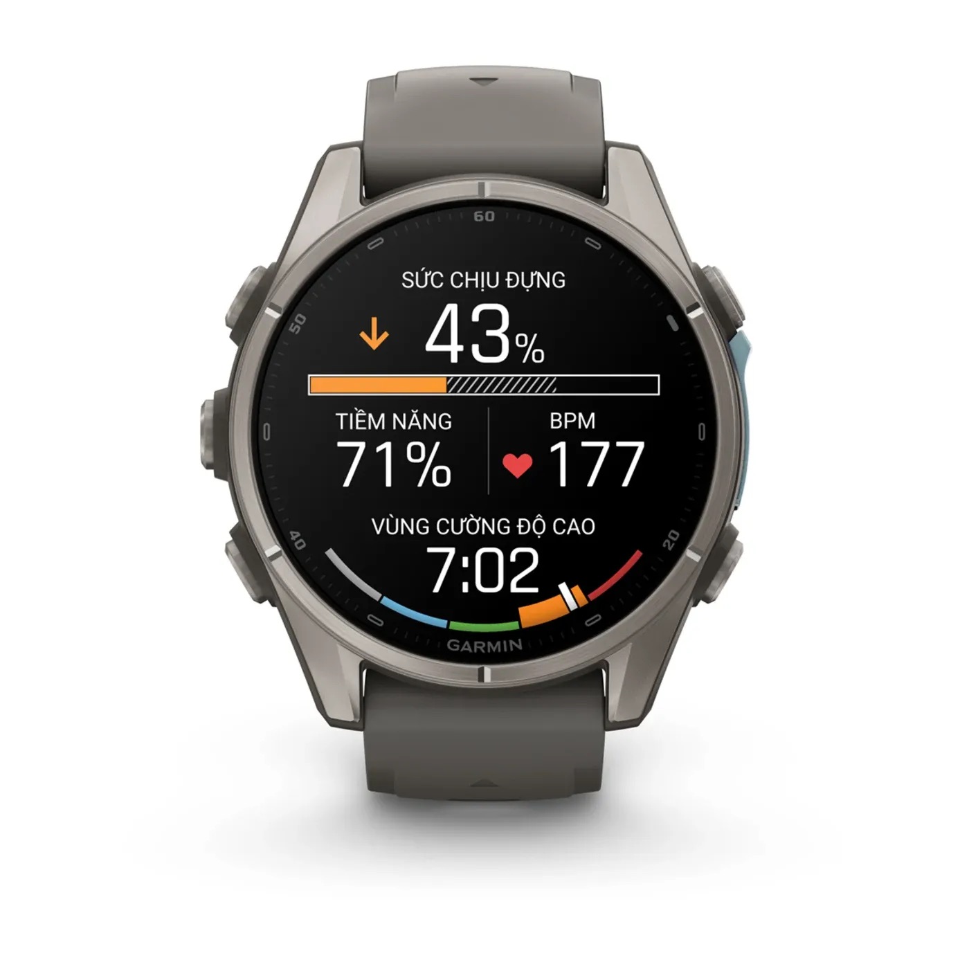 Garmin Fenix 9 – 43mm, Titanium (Pebble Gray Silicone Band)
