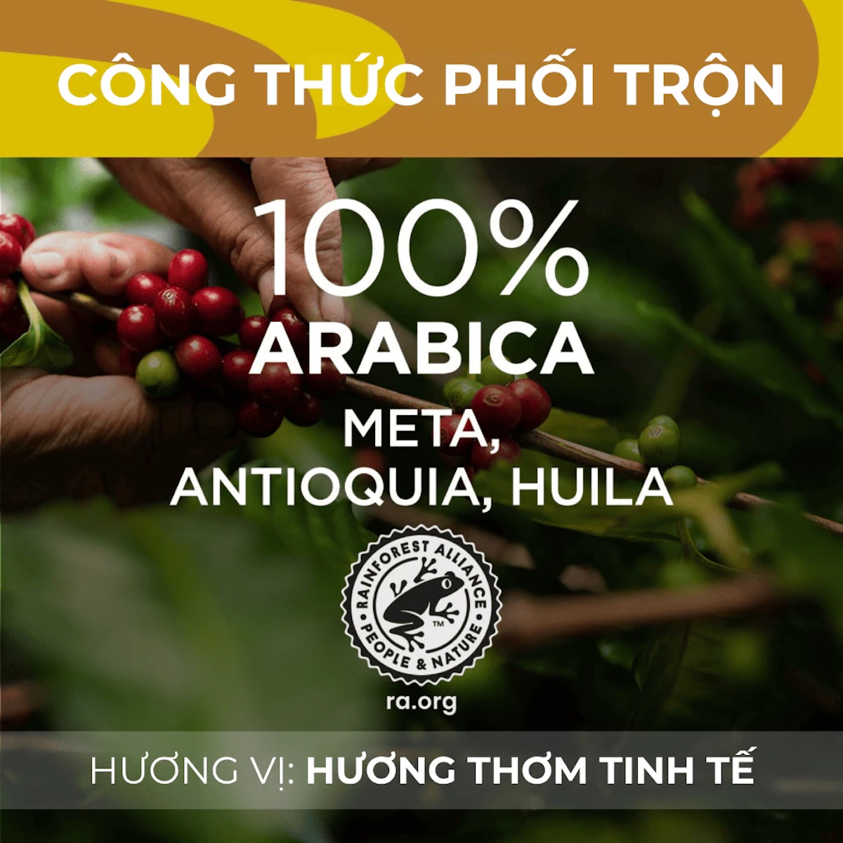 Cà phê hạt Lavazza ¡TIERRA! Colombia (1KG)