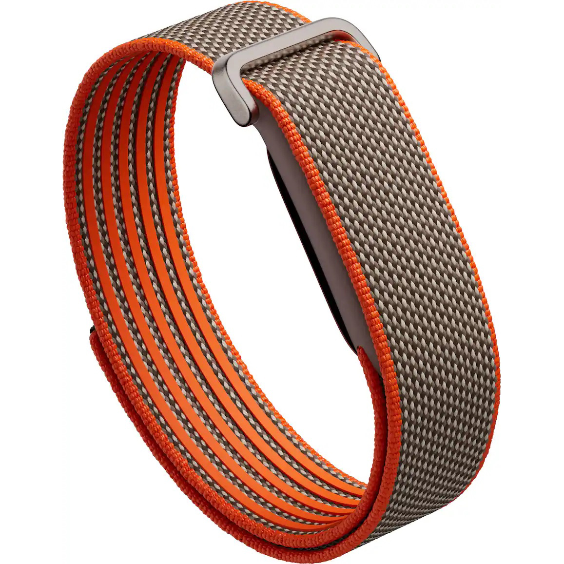 Vòng theo dõi sức khỏe Google Fitbit Air - Special Edition (Rye)
