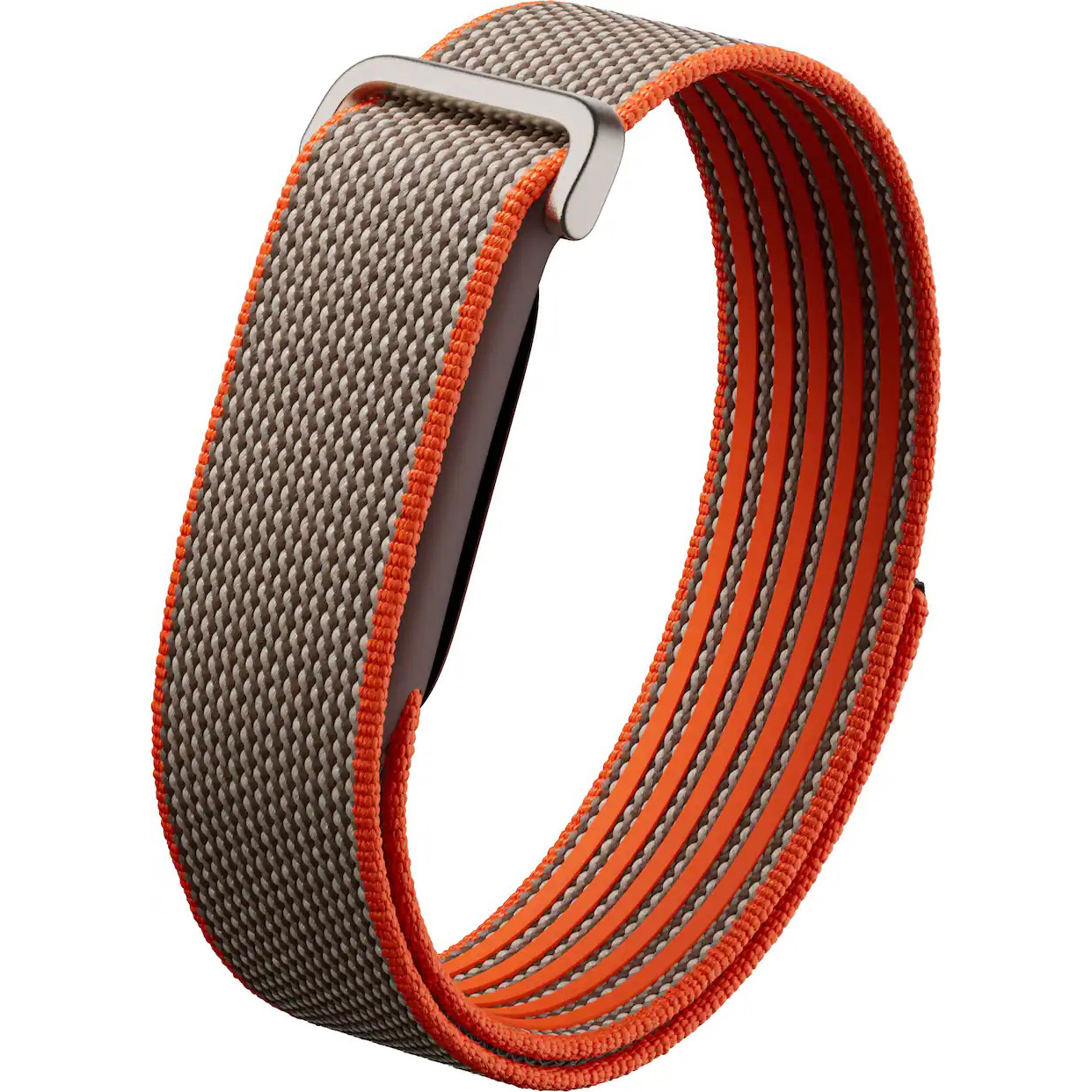 Vòng theo dõi sức khỏe Google Fitbit Air - Special Edition (Rye)