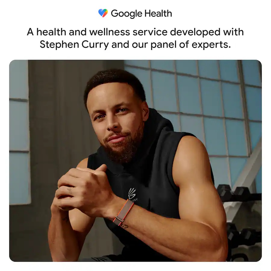Vòng theo dõi sức khỏe Google Fitbit Air - Special Edition (Rye)