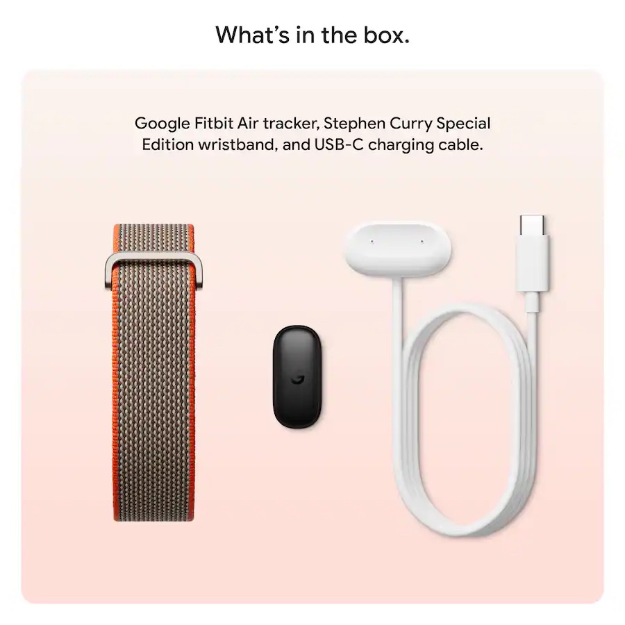 Vòng theo dõi sức khỏe Google Fitbit Air - Special Edition (Rye)