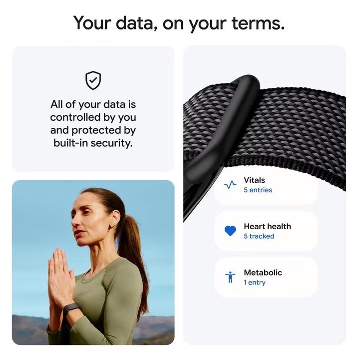 Vòng theo dõi sức khoẻ Google Fitbit Air - Active Bundle