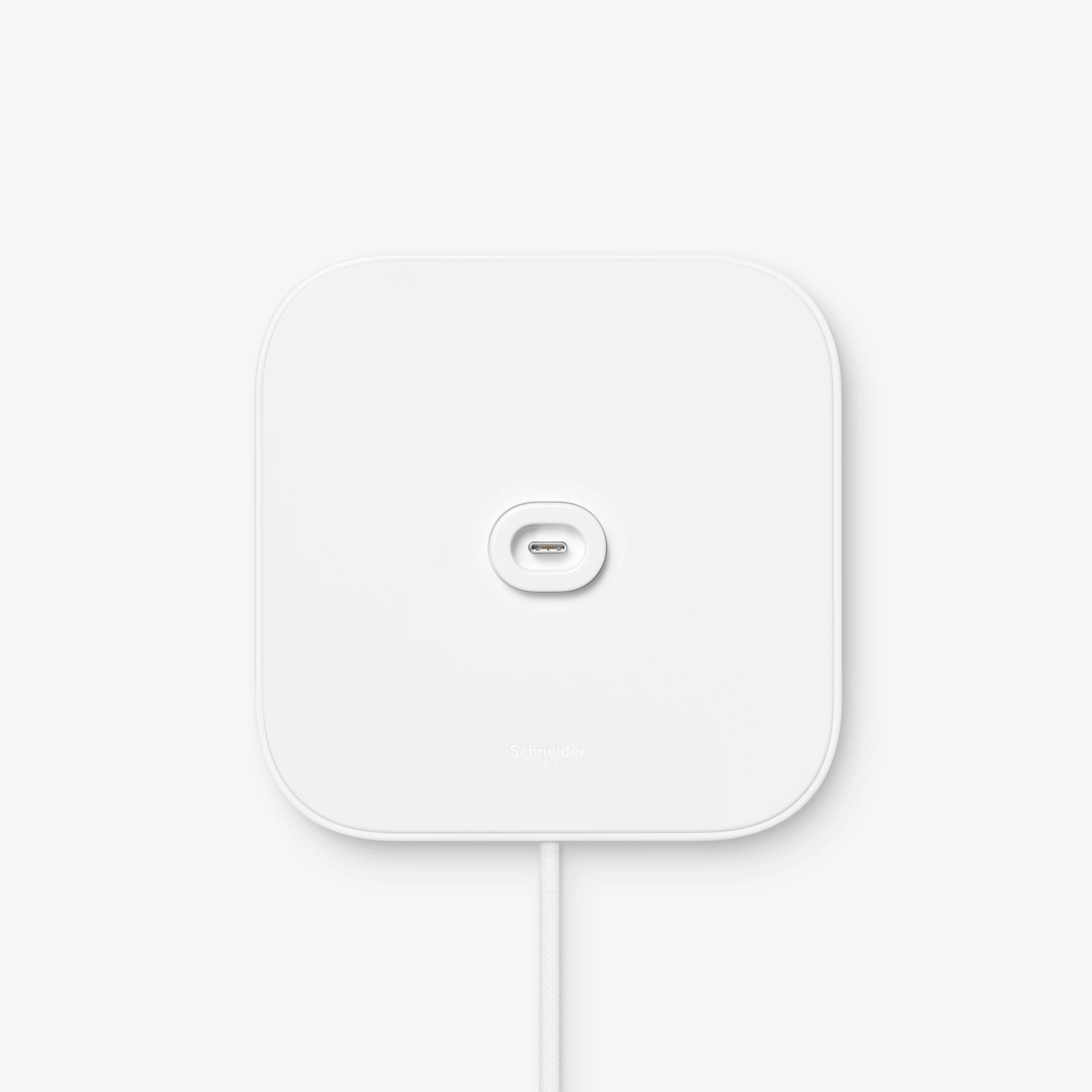 Apple HomeView Wall Mounted