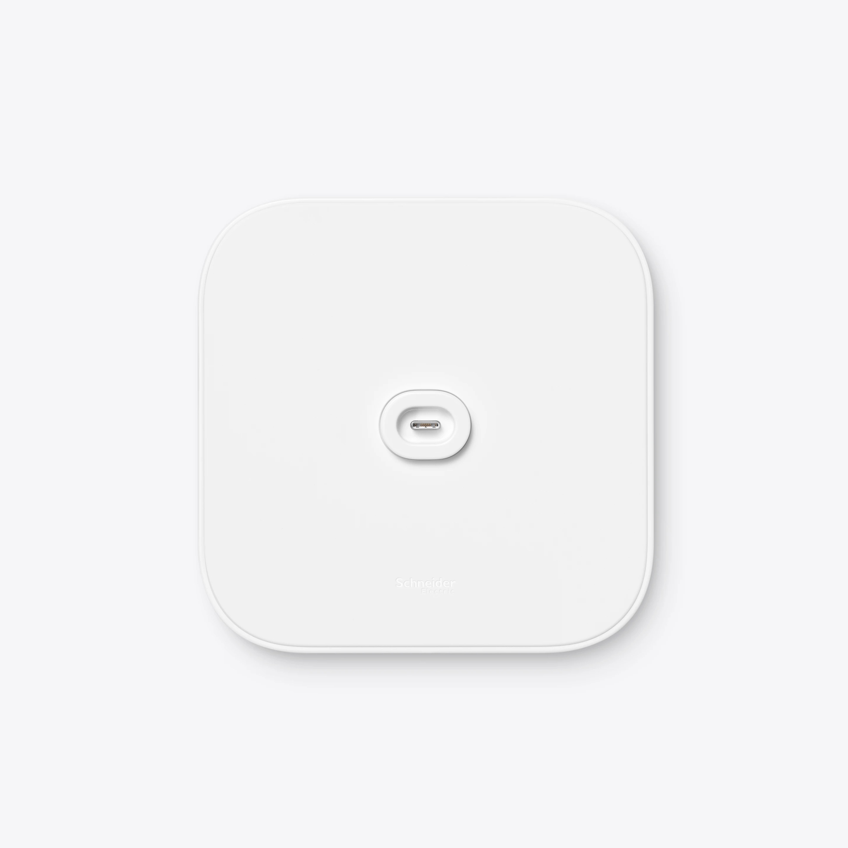 Apple HomeView Wall Mounted