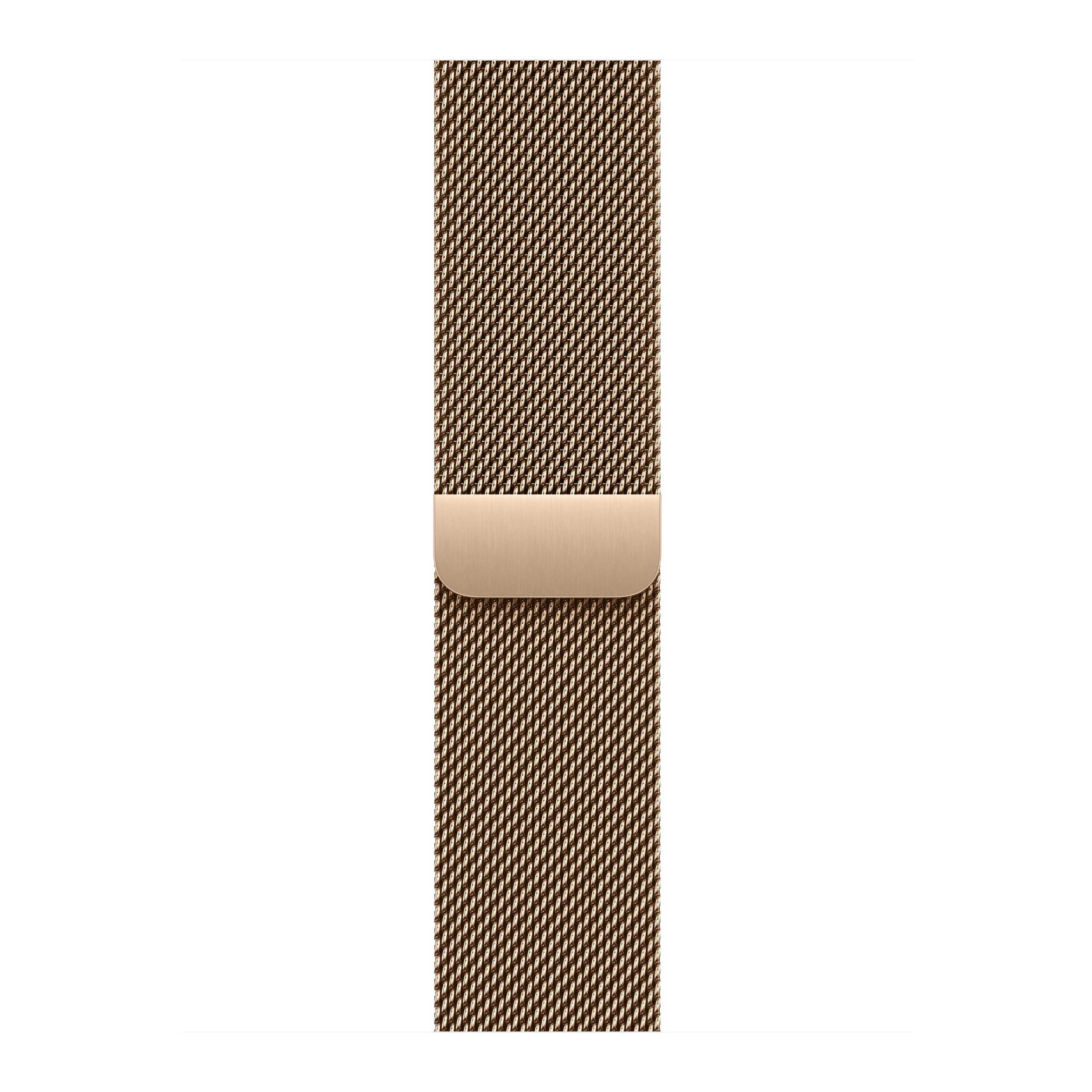Apple Watch Series 11 (GPS+Cellular) 42mm Titanium Case, Milanese Loop