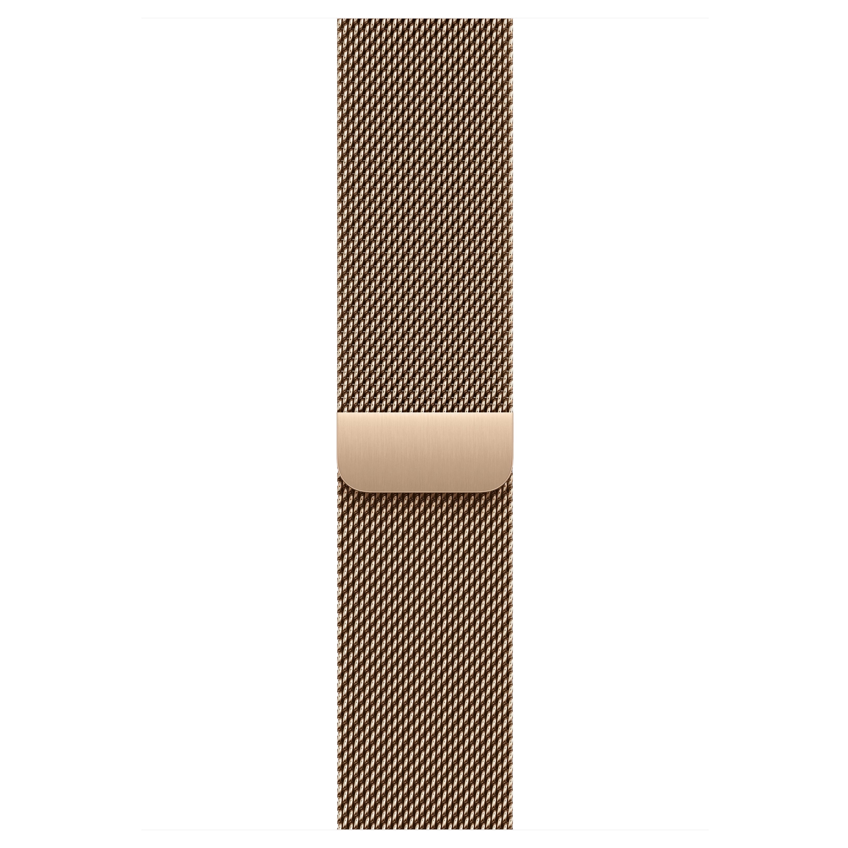 Apple Watch Series 11 (GPS+Cellular) 46mm Titanium Case, Milanese Loop