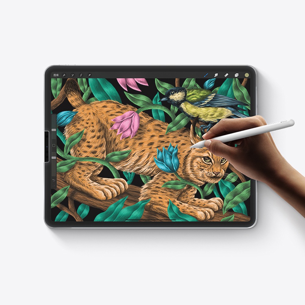 Miếng Dán Cường Lực iPad 10.2 Inch Mipow Kingbull Paper-Like 2 In 1 Premium Hd (2.7D)