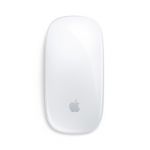 Apple Magic Mouse 2 (2021) - Silver