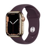 Apple Watch Series 7 GPS + Cellular, 41mm Stainless Steel with Sport Band