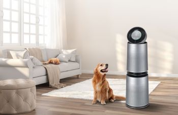 Máy lọc không khí 2 tầng LG Puricare 360˚ Air Purifier Pet Plus AS301DNPA