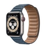 Apple Watch Series 6 Edition GPS + Cellular, 40mm Titanium Case with Leather Link