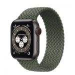 Apple Watch Series 6 Edition GPS + Cellular, 40mm Space Black Titanium Case with Braided Solo Loop