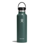 Bình nước giữ nhiệt Hydro Flask Standard Flex Cap 21 OZ  (Season 2024)