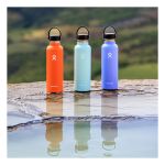 Bình nước giữ nhiệt Hydro Flask Standard Flex Cap 18 OZ  (Season 2024)