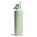 Bình giữ nhiệt Hydro Flask Standard Flex Straw Cap 21 OZ (621ml)(Season 2025)