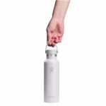 Bình giữ nhiệt Hydro Flask Standard Flex Cap 21 OZ (621 ml) -  Spring Season 2026