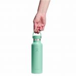 Bình giữ nhiệt Hydro Flask Standard Flex Cap 21 OZ (621 ml) -  Spring Season 2026