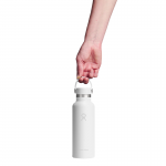 Bình giữ nhiệt Hydro Flask Standard Flex Cap 18 OZ (532 ml) -  Spring Season 2026
