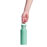 Bình giữ nhiệt Hydro Flask Standard Flex Cap 18 OZ (532 ml) -  Spring Season 2026