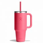 Ly giữ nhiệt Hydro Flask Around Travel Tumbler Clear Lid 32 OZ (946 ml)  - Spring Season 2026 - TT32PSCC