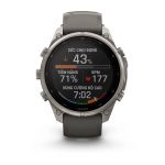 Garmin Fenix 9 Pro - Solar, Titanium, 47mm (Pebble Gray/Silver Gray Silicone Band)