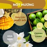 Cà phê hạt Lavazza ¡TIERRA! Colombia (1KG)