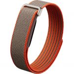 Vòng theo dõi sức khỏe Google Fitbit Air - Special Edition (Rye)