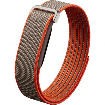 Vòng theo dõi sức khỏe Google Fitbit Air - Special Edition (Rye)