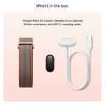 Vòng theo dõi sức khỏe Google Fitbit Air - Special Edition (Rye)