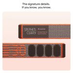 Vòng theo dõi sức khỏe Google Fitbit Air - Special Edition (Rye)