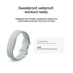 Vòng theo dõi sức khoẻ Google Fitbit Air - Active Bundle