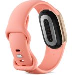 Vòng đeo sức khoẻ Google Fitbit Edge